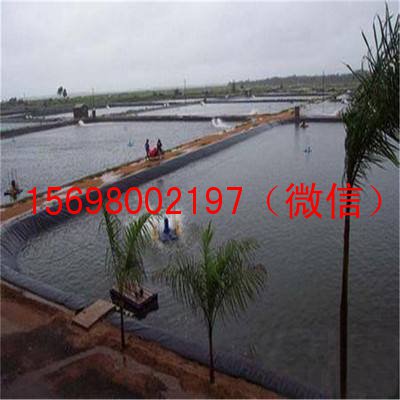鱼塘土工膜